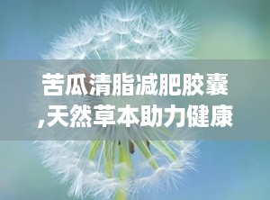 苦瓜清脂减肥胶囊,天然草本助力健康瘦身新选择