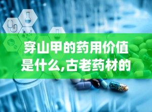 穿山甲的药用价值是什么,古老药材的现代价值解析