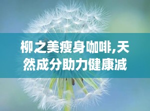 柳之美瘦身咖啡,天然成分助力健康减肥新选择