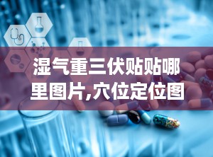 湿气重三伏贴贴哪里图片,穴位定位图解，轻松应对湿气重