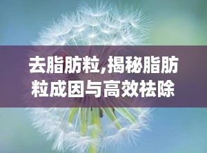去脂肪粒,揭秘脂肪粒成因与高效祛除攻略”