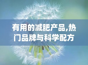 有用的减肥产品,热门品牌与科学配方的全面解析