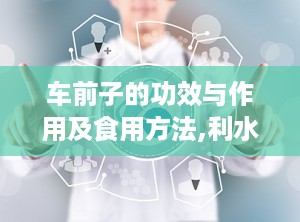 车前子的功效与作用及食用方法,利水通淋、清热祛痰，养生保健的天然良药