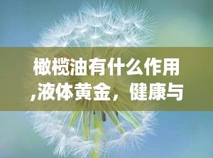 橄榄油有什么作用,液体黄金，健康与美容的双重守护者
