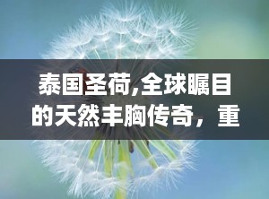 泰国圣荷,全球瞩目的天然丰胸传奇，重塑女性自信之美”