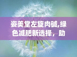 姿美堂左旋肉碱,绿色减肥新选择，助力健康塑形之旅”