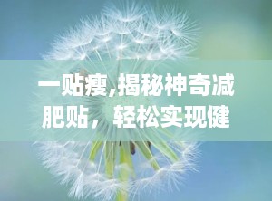 一贴瘦,揭秘神奇减肥贴，轻松实现健康瘦身