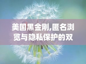 美国黑金刚,匿名浏览与隐私保护的双重守护者