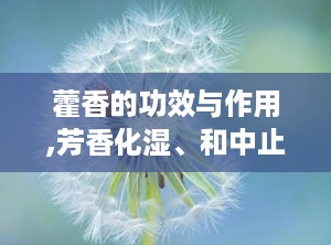 藿香的功效与作用,芳香化湿、和中止呕，夏季养生必备良药