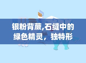 银粉背蕨,石缝中的绿色精灵，独特形态与药用价值