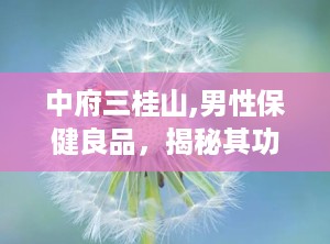 中府三桂山,男性保健良品，揭秘其功效与禁忌”