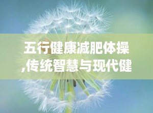 五行健康减肥体操,传统智慧与现代健康的完美融合，轻松塑形，健康生活新选择”