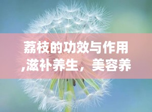 荔枝的功效与作用,滋补养生，美容养颜的南国佳果