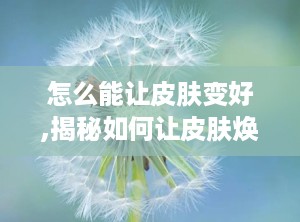 怎么能让皮肤变好,揭秘如何让皮肤焕发光彩”