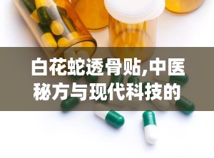 白花蛇透骨贴,中医秘方与现代科技的完美结合，风湿骨病克星！”