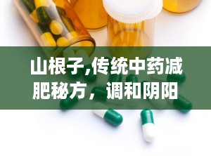 山根子,传统中药减肥秘方，调和阴阳，健康瘦身之道