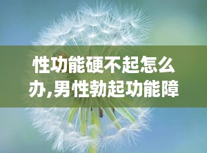 性功能硬不起怎么办,男性勃起功能障碍的成因与应对策略