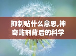 抑制贴什么意思,神奇贴剂背后的科学原理与应用