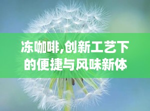 冻咖啡,创新工艺下的便捷与风味新体验
