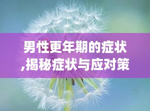 男性更年期的症状,揭秘症状与应对策略