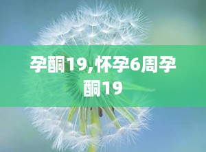 孕酮19,怀孕6周孕酮19