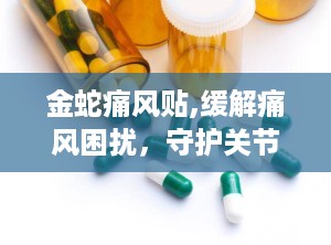 金蛇痛风贴,缓解痛风困扰，守护关节健康之选”