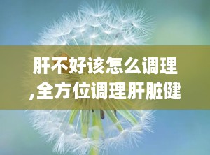肝不好该怎么调理,全方位调理肝脏健康指南