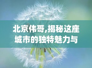 北京伟哥,揭秘这座城市的独特魅力与无限活力