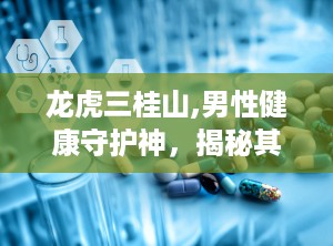 龙虎三桂山,男性健康守护神，揭秘其神奇配方与功效