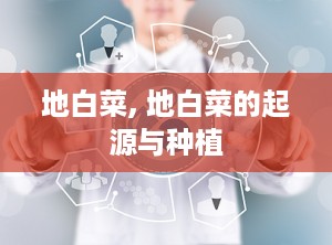 地白菜, 地白菜的起源与种植