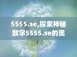 5555.se,探索神秘数字5555.se的奥秘与传奇