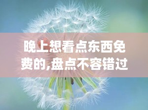 晚上想看点东西免费的,盘点不容错过的免费网站与资源”
