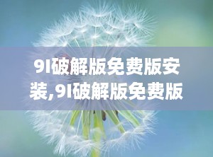 9I破解版免费版安装,9I破解版免费版安装全攻略