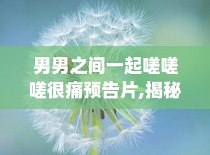 男男之间一起嗟嗟嗟很痛预告片,揭秘男男之间“嗟嗟嗟”的激情预告