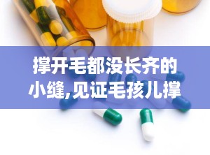 撑开毛都没长齐的小缝,见证毛孩儿撑开萌动小缝的瞬间