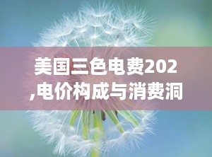 美国三色电费202,电价构成与消费洞察
