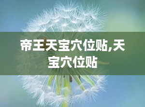 帝王天宝穴位贴,天宝穴位贴