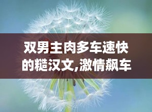 双男主肉多车速快的糙汉文,激情飙车，肉香四溢的糙汉情缘