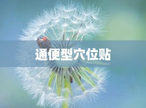 通便型穴位贴