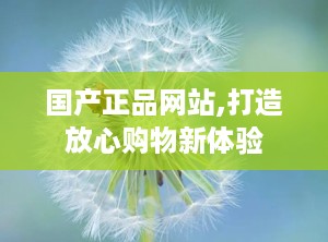 国产正品网站,打造放心购物新体验