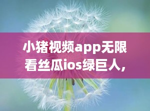 小猪视频app无限看丝瓜ios绿巨人,丝瓜绿巨人版iOS体验解析