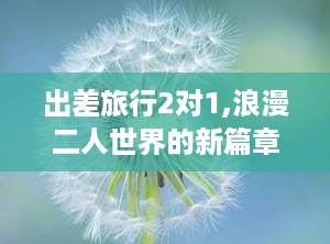 出差旅行2对1,浪漫二人世界的新篇章