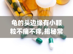 龟的头边缘有小颗粒不痛不痒,揭秘常见原因与应对策略