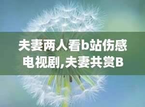 夫妻两人看b站伤感电视剧,夫妻共赏B站伤感剧，情感波澜起伏