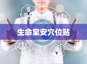 生命棠安穴位贴