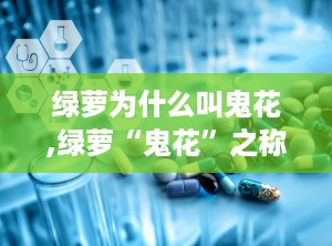 绿萝为什么叫鬼花,绿萝“鬼花”之称背后的民间传说与科学解读