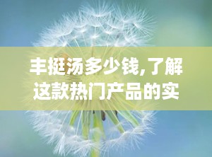 丰挺汤多少钱,了解这款热门产品的实际成本