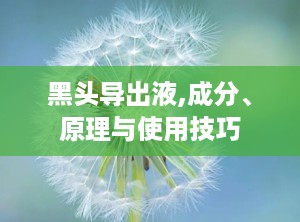 黑头导出液,成分、原理与使用技巧