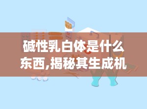 碱性乳白体是什么东西,揭秘其生成机制与生物学意义