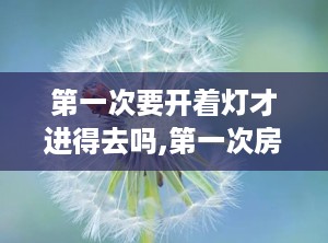 第一次要开着灯才进得去吗,第一次房事，关灯还是开灯？”
